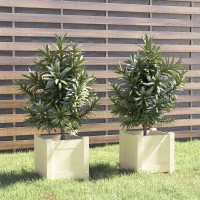 vidaXL Garden Planters 2 pcs White 12.2