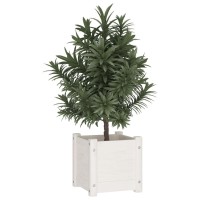 vidaXL Garden Planters 2 pcs White 12.2