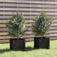 vidaXL Garden Planters 2 pcs Black 12.2