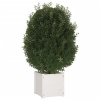Vidaxl Garden Planter White 15.7X15.7X15.7 Solid Wood Pine