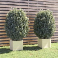 Vidaxl Garden Planters 2 Pcs White 15.7X15.7X15.7 Solid Wood Pine