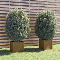 Vidaxl Garden Planters 2 Pcs Honey Brown 15.7X15.7X15.7 Solid Wood Pine