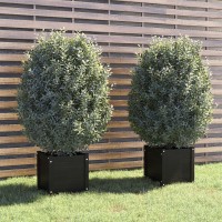 Vidaxl Garden Planters 2 Pcs Black 15.7X15.7X15.7 Solid Wood Pine