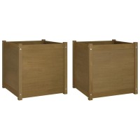 vidaXL Garden Planters 2 pcs Honey Brown 23.6