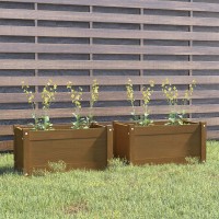vidaXL Garden Planters 2 pcs Honey Brown 23.6