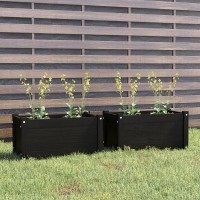 vidaXL Garden Planters 2 pcs Black 23.6