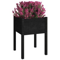 vidaXL Garden Planters 2 pcs Black 19.7