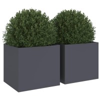 vidaXL Planters 2 pcs Anthracite 12.6