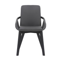 Greisen Modern Wood Dining Room Chair