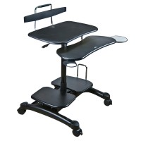 Sit/Stand Mobile Pc Workstation