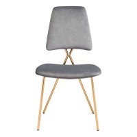 Chloe Dining Chair (Set Of 2) Gray And Gold