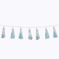 Iridescent Tassel Garland