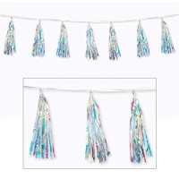 Iridescent Tassel Garland