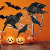 Websun Halloween Crow Decorations 5 Pack Realistic Handmade Black Feather Crows Prop Fly And Stand Crows Ravens For Outdoors An