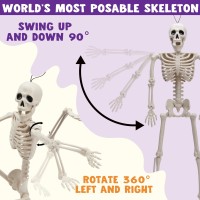 Joyin 5 Pcs Posable Halloween Skeletons 16 Inches Full Body Posable Joints Hanging Skeletons For Graveyard Decorations Haunted