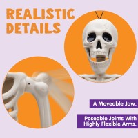 Joyin 5 Pcs Posable Halloween Skeletons 16 Inches Full Body Posable Joints Hanging Skeletons For Graveyard Decorations Haunted