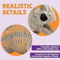 Joyin 2 Pcs 95 Halloween Poseable Fish Skeleton Decor Animal Plastic Bones With Posable Joints For Halloween Indoor Outdoor De