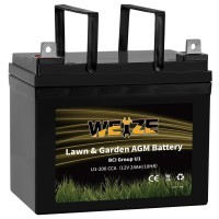 Weize Lawn Garden Agm Battery 12V 200Cca Bci Group U1 Sla Starting Battery For Lawn Tractors And Mowers Compatible With Joh