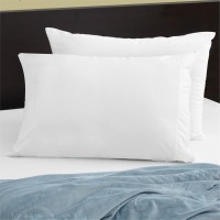 Stainguard Cotton Terry Pillow Protector King White