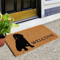 Calloway Mills 102961729 Labrador Doormat 17 X 29 Naturalblack