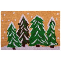 Calloway Mills 122252436 Winter Wonderland Doormat 24 X 36 Multicolor