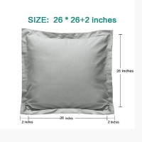 Ntbay 26X26 Euro Sham Covers 2 Pack Brushed Microfiber 26X26 Pillow Covers Soft Wrinklefree Faderesistant Stainresista