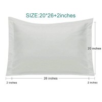 Ntbay Standard Pillow Shams 2 Pack Brushed Microfiber 20X26 Sham Covers Super Soft And Cozy Wrinkle Fade Stain Resistant