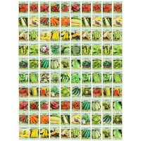 100 Assorted Heirloom Vegetable Seeds 100 Nongmo 100 Deluxe Assorted Vegetable Seeds