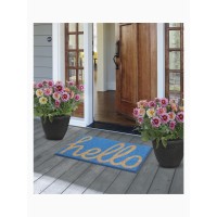 Fab Habitat Non Slip Doormat Durable Thin Natural Coir Rubber Entryway Front Door Porch Patio Cursive Hello Dark B