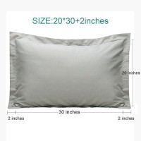 Ntbay Queen Pillow Shams 2 Pack Brushed Microfiber 20X30 Sham Covers Super Soft And Cozy Wrinkle Fade Stain Resistant 20X