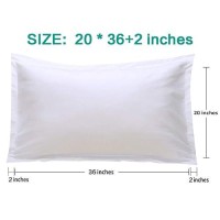 Ntbay Queen Pillow Shams 2 Pack Brushed Microfiber 20X30 Sham Covers Super Soft And Cozy Wrinkle Fade Stain Resistant 20X