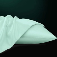 Ntbay Zippered Satin Pillow Cases For Hair And Skin Luxury Queen Hidden Zipper Pillowcases Set Of 2 20X30 Inches Cyan