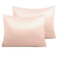 Ntbay Zippered Satin Pillow Cases For Hair And Skin Luxury Standard Hidden Zipper Pillowcases Set Of 2 20X26 Inches Pink