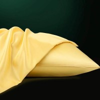 Ntbay Zippered Satin Pillow Cases For Hair And Skin Luxury King Hidden Zipper Pillowcases Set Of 2 20X36 Inches Yellow