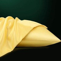 Ntbay Zippered Satin Pillow Cases For Hair And Skin Luxury Queen Hidden Zipper Pillowcases Set Of 2 20X30 Inches Yellow