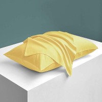 Ntbay Zippered Satin Pillow Cases For Hair And Skin Luxury Queen Hidden Zipper Pillowcases Set Of 2 20X30 Inches Yellow