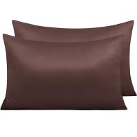 Ntbay Zippered Satin Pillow Cases For Hair And Skin Luxury Queen Hidden Zipper Pillowcases Set Of 2 20X30 Inches Dark Brown