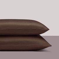 Ntbay Zippered Satin Pillow Cases For Hair And Skin Luxury Queen Hidden Zipper Pillowcases Set Of 2 20X30 Inches Dark Brown