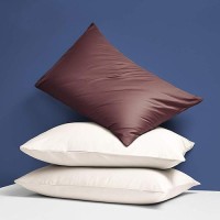 Ntbay Zippered Satin Pillow Cases For Hair And Skin Luxury Queen Hidden Zipper Pillowcases Set Of 2 20X30 Inches Dark Brown