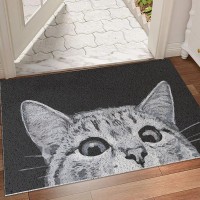 Mr Fantasy Cat Door Mat Outdoor Entrance Durable Welcome Mat Mud Absorbent Doormat Indoor Outdoor Lowprofile Floor Mats Fr