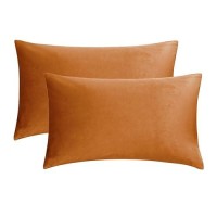 Gigizaza Cinnamon Orange Velvet Decorative Throw Pillow Covers For Sofa Bed 2 Pack Soft Cushion Cover