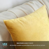 Gigizaza Yellow Velvet Decorative Throw Pillow Covers For Sofa Bed 2 Pack Soft Cushion Cover