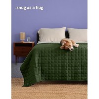 Ynm Weighted Blanket Heavy 100 Percent Oeko-Tex Certified Cotton Material  Bed Blanket For One Person Of 160Lbs  Ideal For Queen/King Bed (60X80 Inches  17 Pounds  Sprout Green)