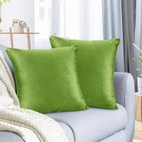 Nestl Throw Pillow Covers Cozy Velvet Decorative Garden Green Pillow Covers 20 X 20 Inches Soft Solid Couch Pillow Covers For