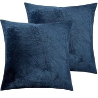 Ntbay Velvet 2 Pack Square Zippered Throw Pillow Covers Super Soft And Luxury Euro Cushion Covers For Sofa Couch 20X20 Inches