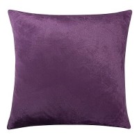 Ntbay Velvet Square Zippered Throw Pillow Cover Super Soft And Luxury Decorative Euro Cushion Cover For Sofa Couch 26X26 Inch