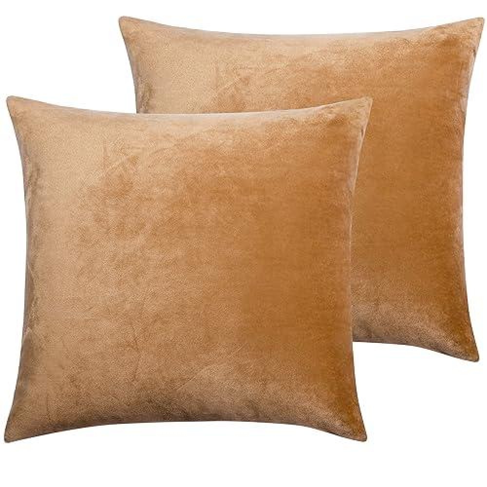 Ntbay Velvet 2 Pack Square Zippered Throw Pillow Covers Super Soft And Luxury Euro Cushion Covers For Sofa Couch 20X20 Inches