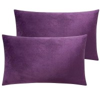 Ntbay Velvet 2 Pack Zippered Throw Pillow Covers Super Soft And Luxury Decorative Lumbar Cushion Covers For Sofa Couch 12X20