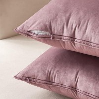 Miulee Pack Of 2 Decorative Velvet Throw Pillow Covers Soft Pillowcase Cozy Soft Rectangle Cushion Coverss Case For Sofa Couch B