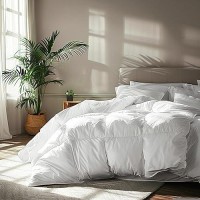 Serta Goose Feather Down Fiber Cotton Comforter Twin Size 100 Cotton Down Duvet Insert Hotel Luxury Hypoallergenic Bedding